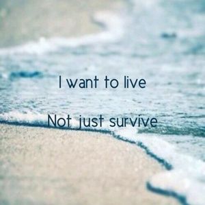 Meet your Posher, Andy